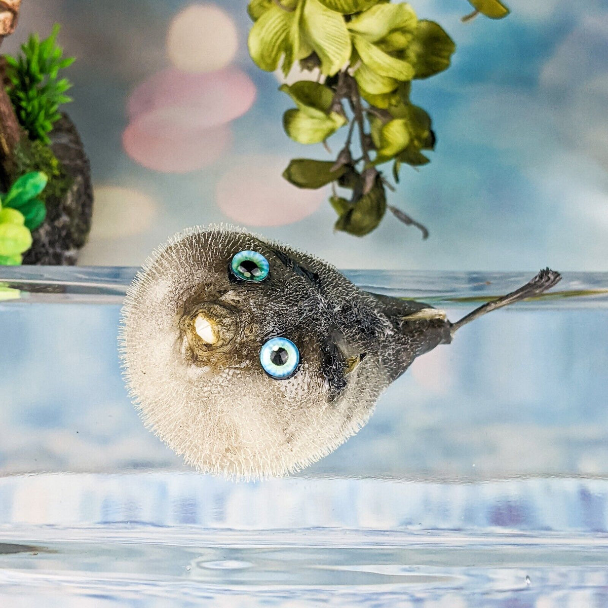 ルアー・フライ Paranoia Puffish Parrot Puffer fish 5+