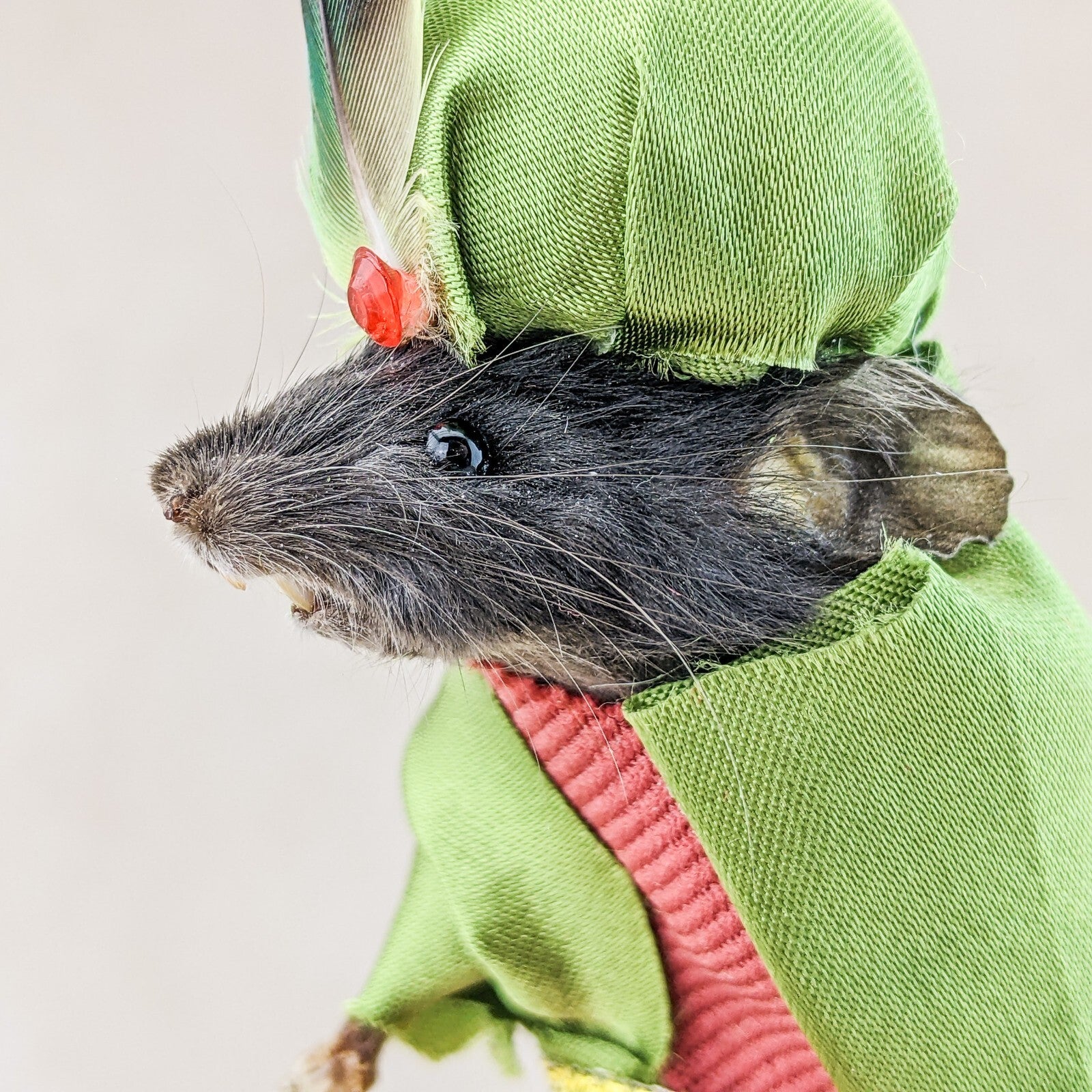 Camel Riding Mouse Sultan Mouse Camel Rider – Scenic City Oddities