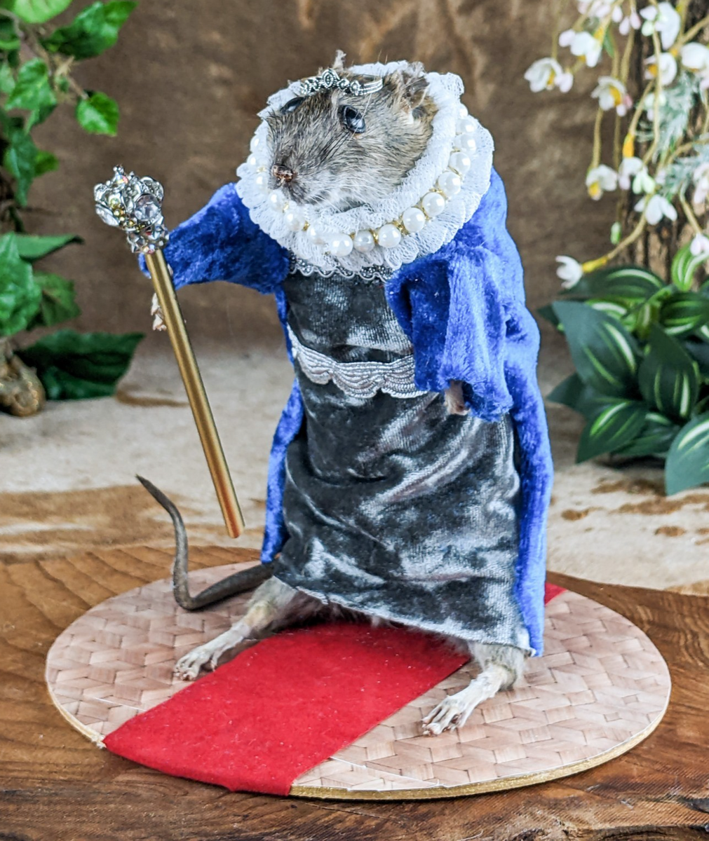 Rat Queen – Scenic City Oddities