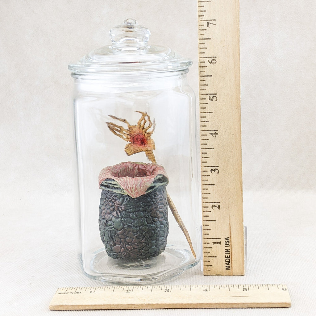 P34c Alien Jar Xenomorph Specimen Facehugger Embryo & Egg Glass Jar Pr ...