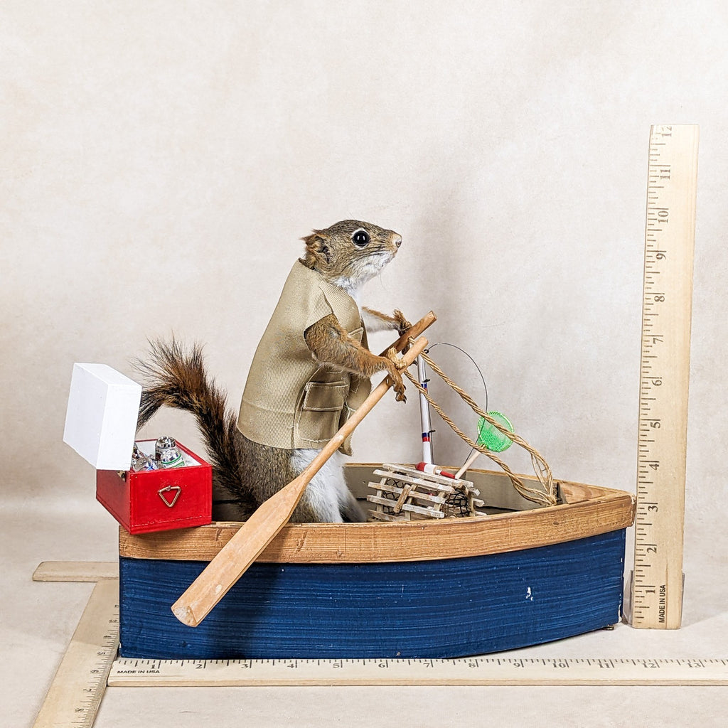 Fishing Squirrel Taxidermy Standing Mount Display Oddity Curiosity dis ...