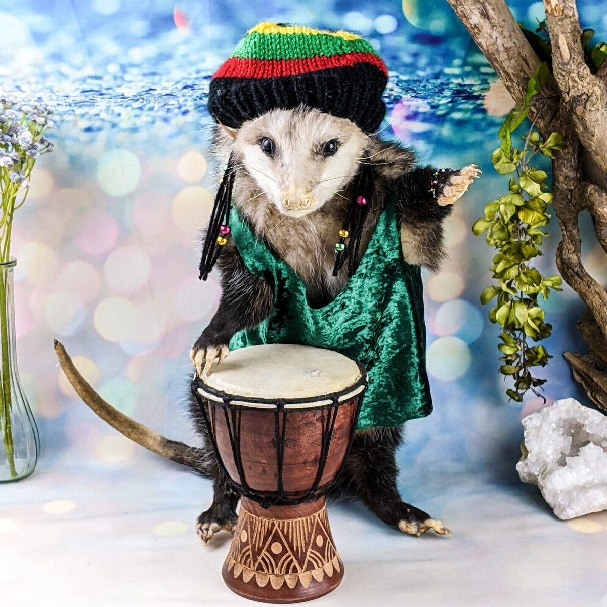 Opossum Rasta Bongo Player – Scenic City Oddities