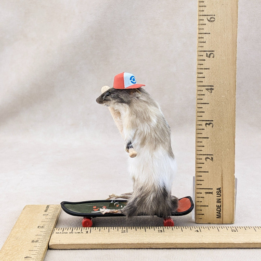 Mouse Skateboard Baseball Dude skater collectible display collectible ...