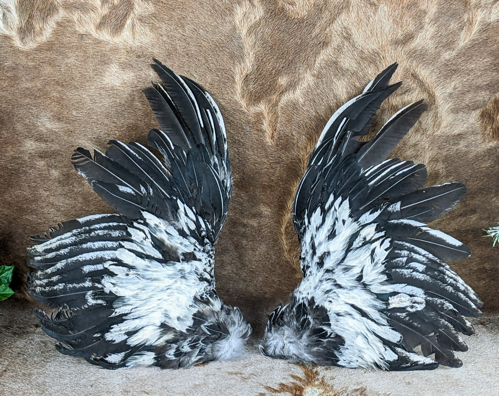 7742990