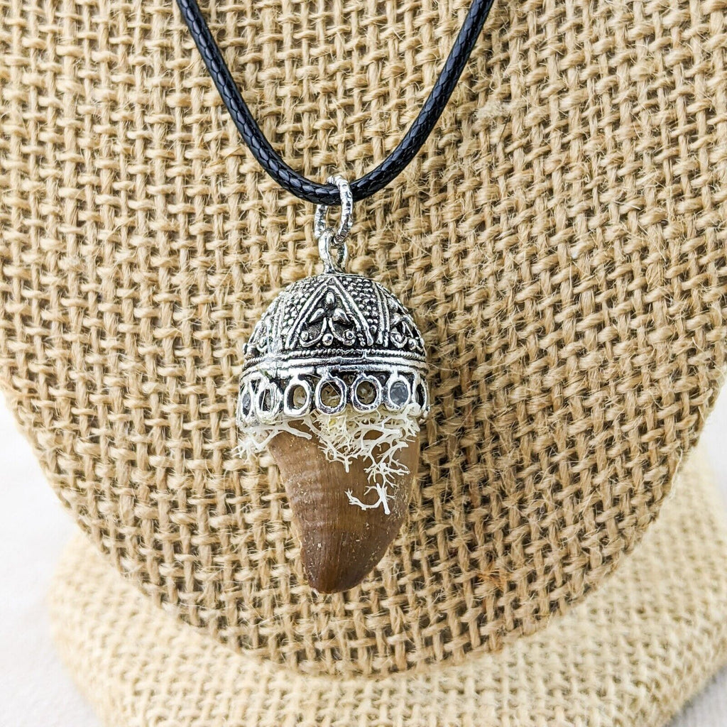 Dinosaur Tooth Necklace – Scenic City Oddities
