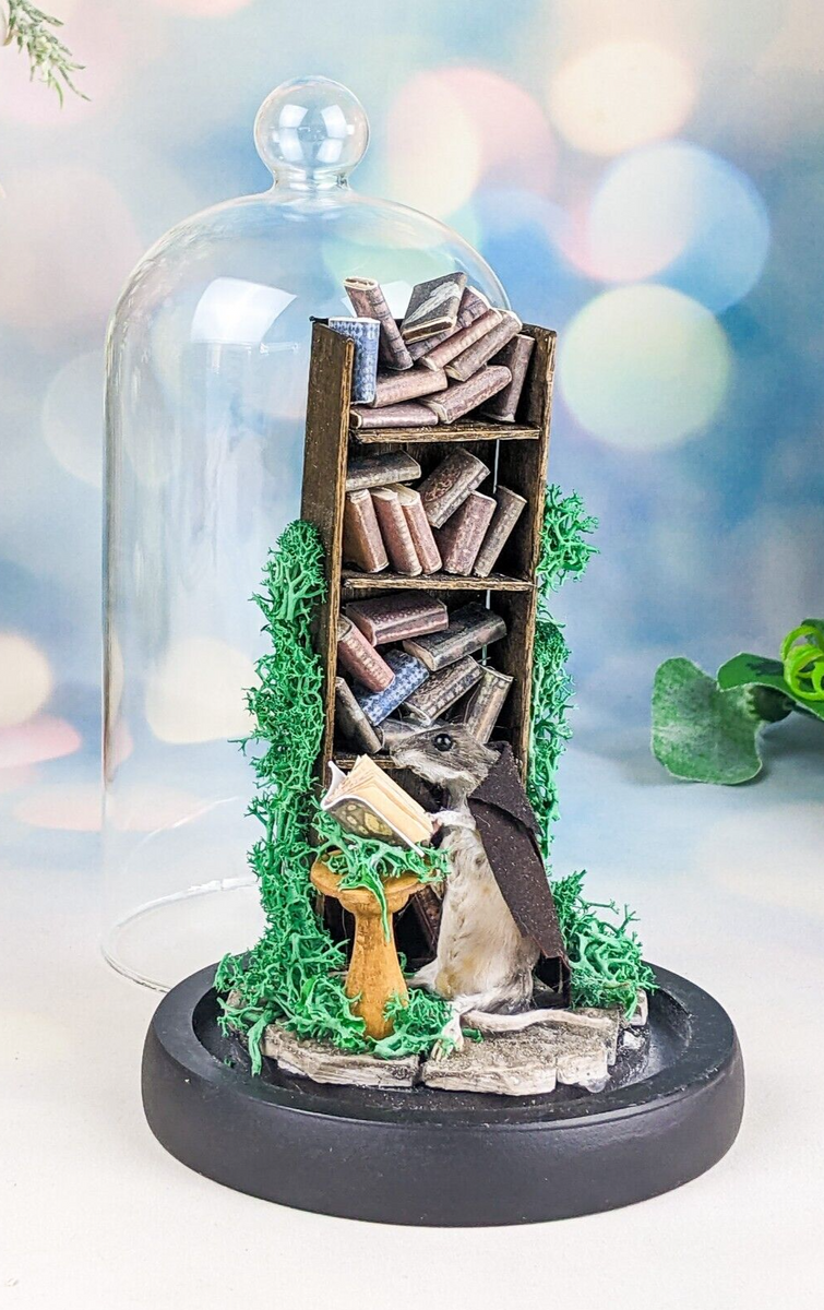 Wizard Library Mouse Glass Dome – Scenic City Oddities