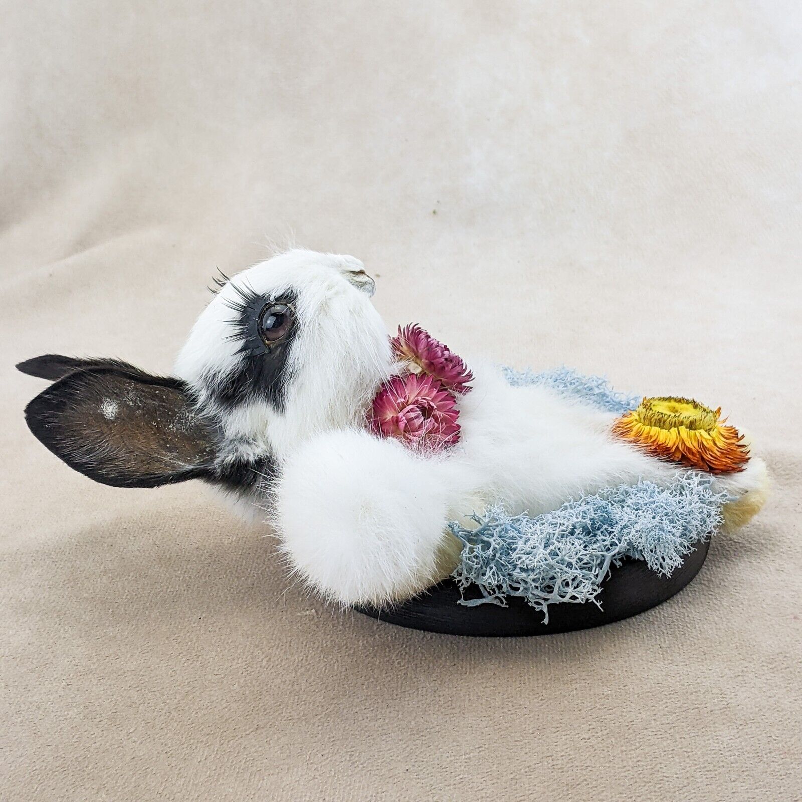 Eruo Mount Rabbit Bunny Rabbit Angel Wall Mount – Scenic City Oddities