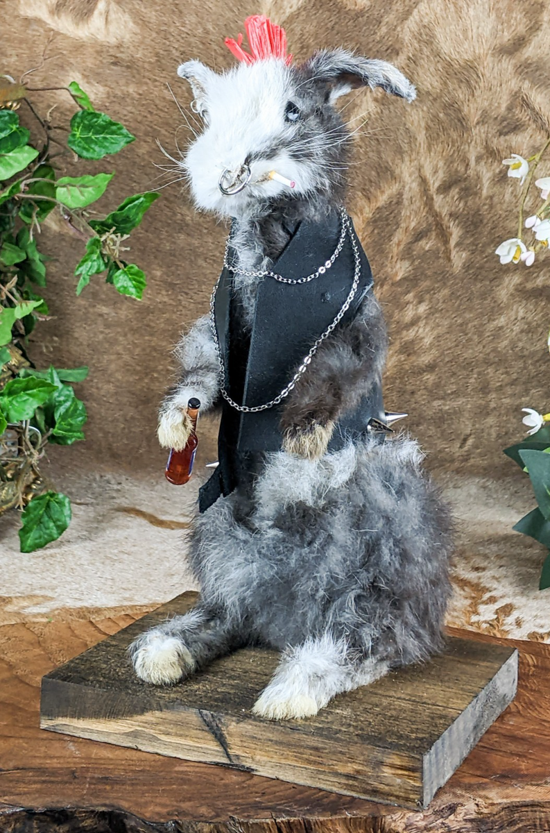 Punk Rabbit Taxidermy Standing Mount Display Oddities Curiosities disp ...