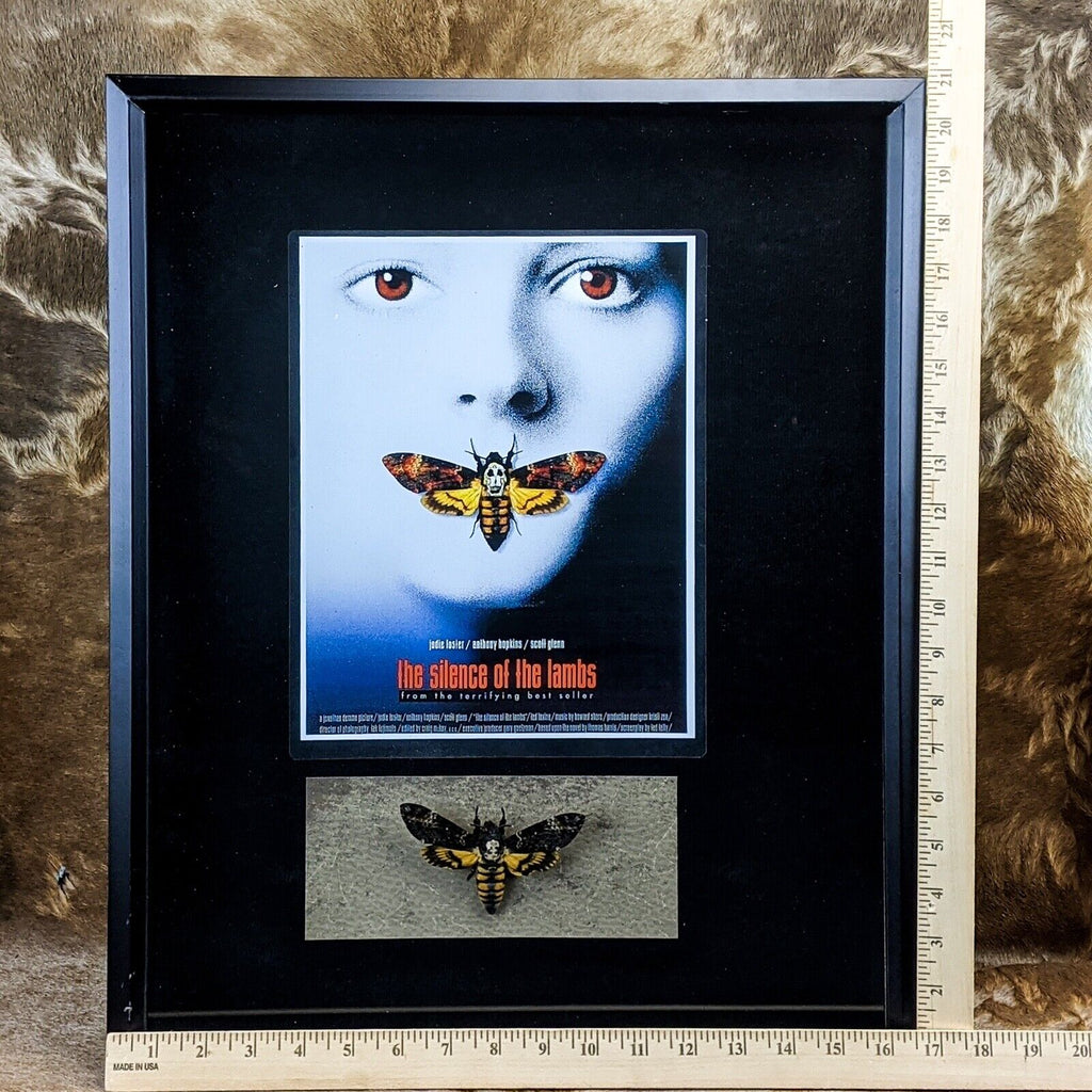 Death's Head Hawk Moth Silence Of The Lambs In Box Frame (Acherontia Styx - Foto 6