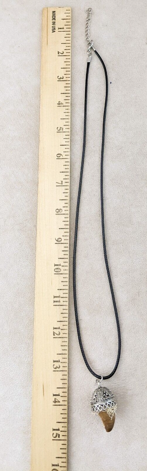 Dinosaur Tooth Necklace - Main Image