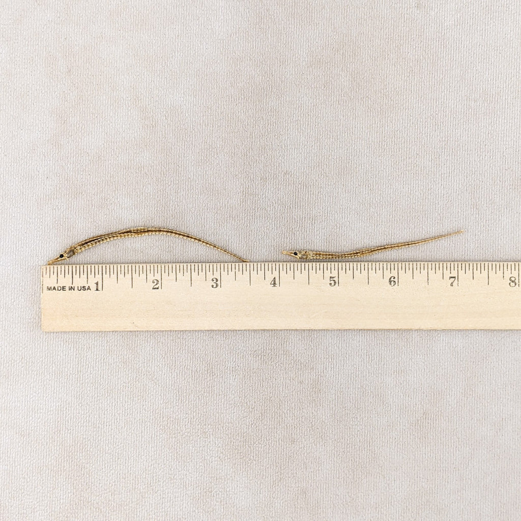 7454536