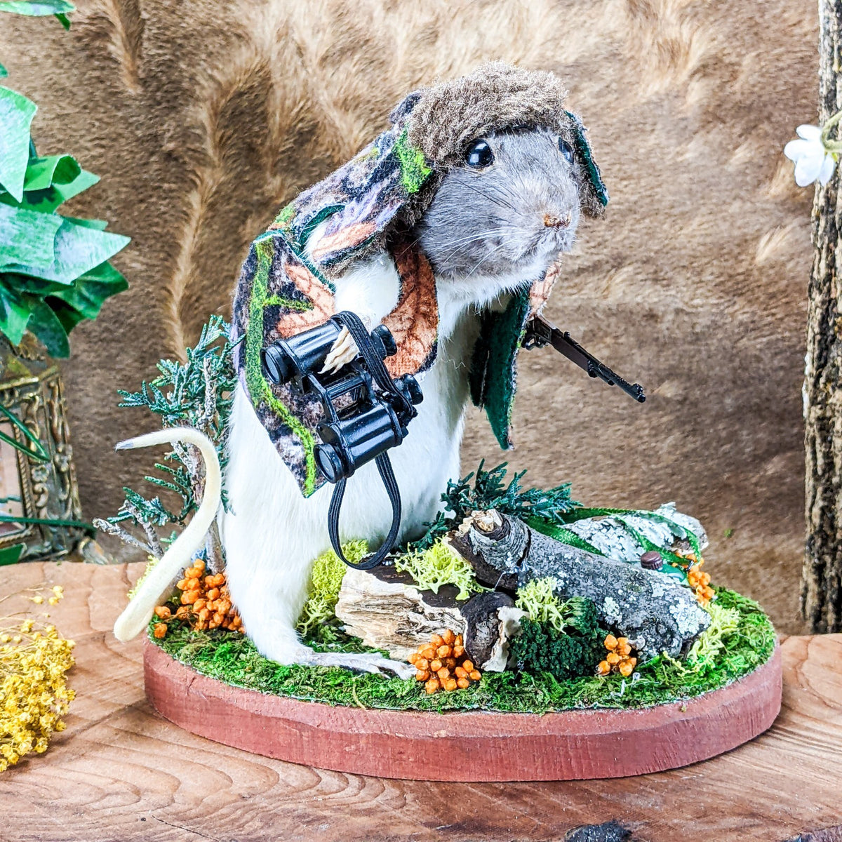 H50a Redneck Rat Hunter Hiker Display Taxidermy Anthropomorphic Odditi ...