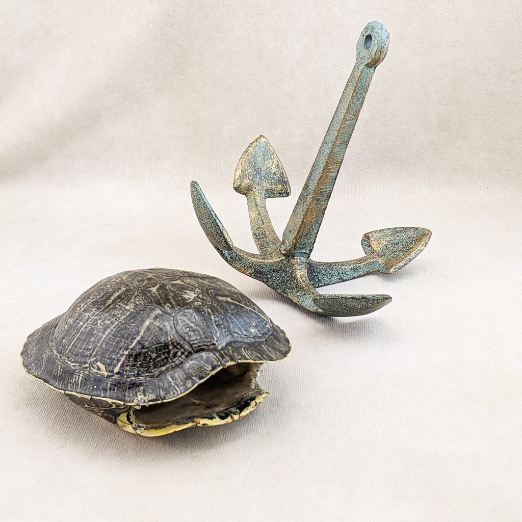 Red Eared Slider Turtle Shell Anchor display Taxidermy curiositys oddi ...