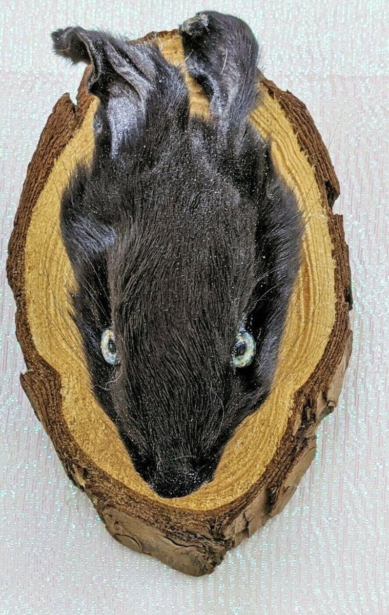 Rabbit Head Hanging Mount – Scenic City Oddities