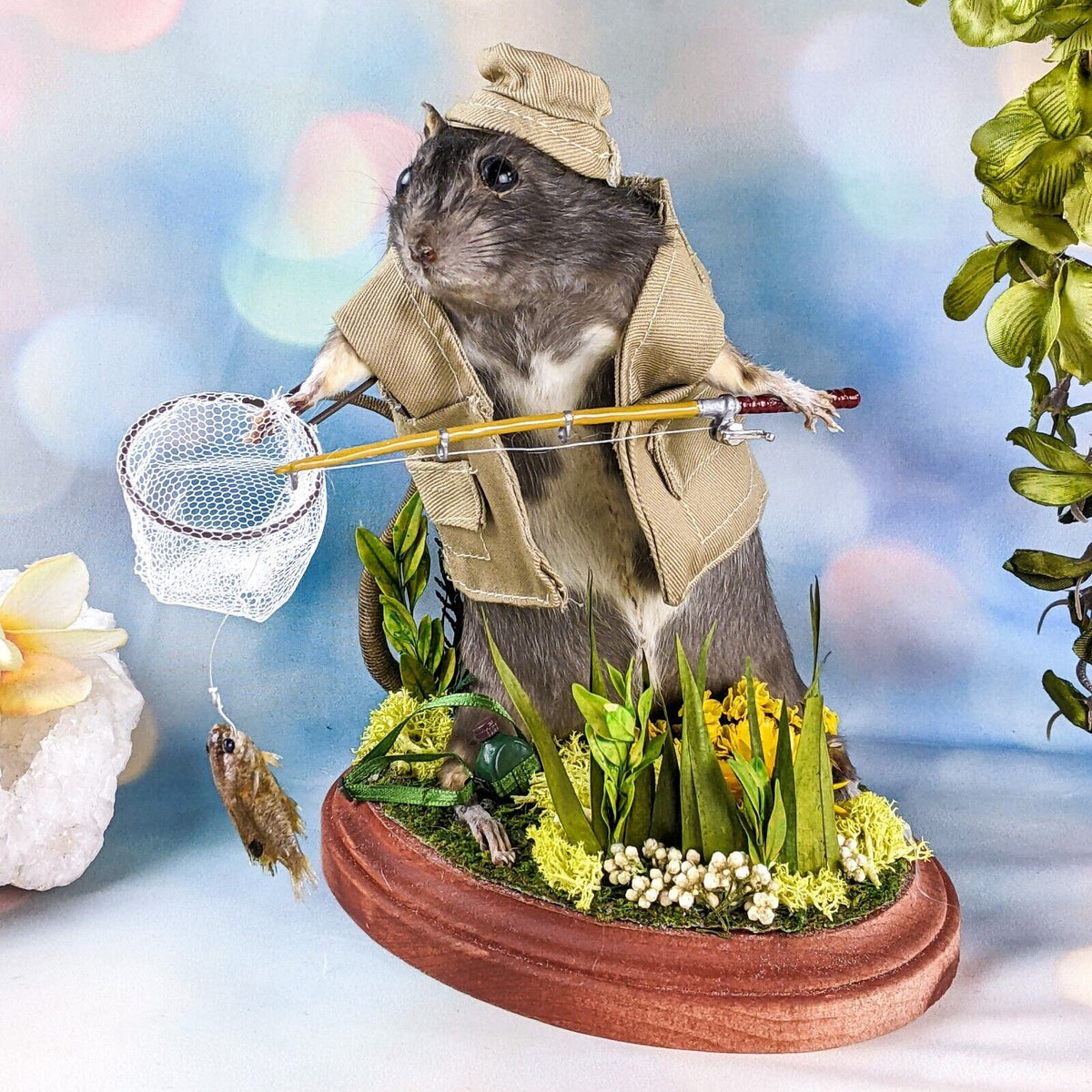 Fisherman Rat Display – Scenic City Oddities