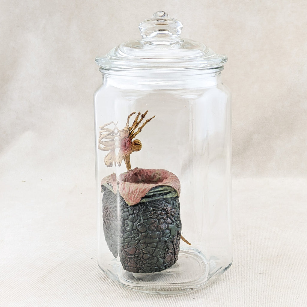 P34c Alien Jar Xenomorph Specimen Facehugger Embryo & Egg Glass Jar Pr ...