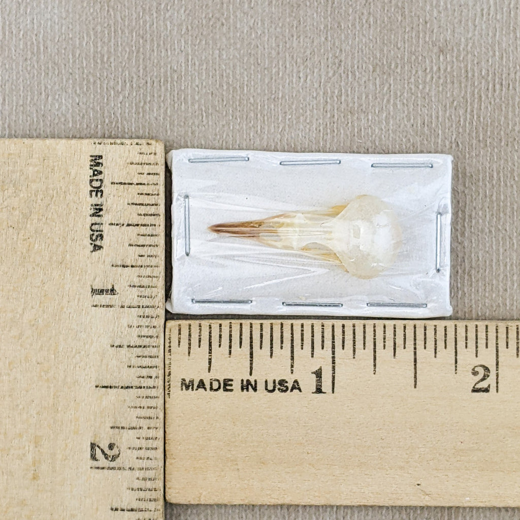 7953022