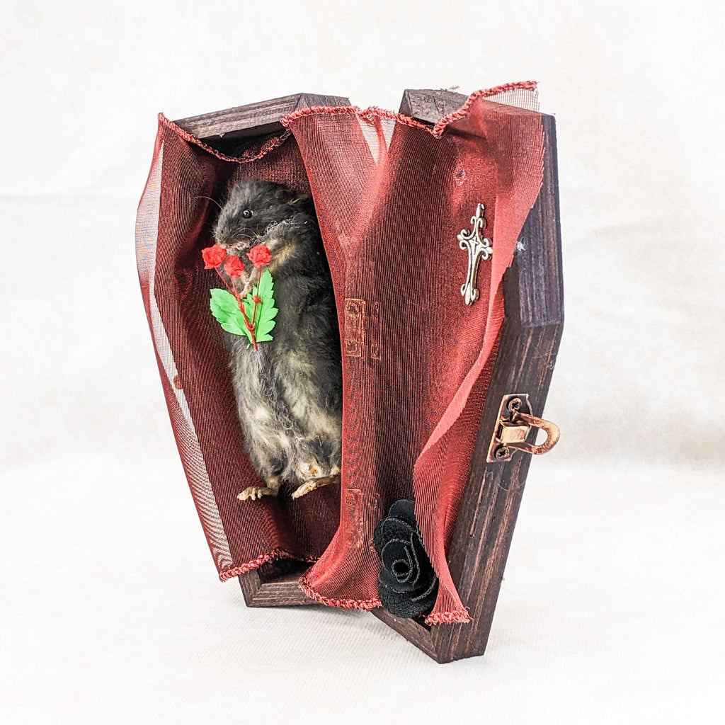 Coffin Mouse Macabre Funeral Taxidermy Anthropomorphic collectible dec ...